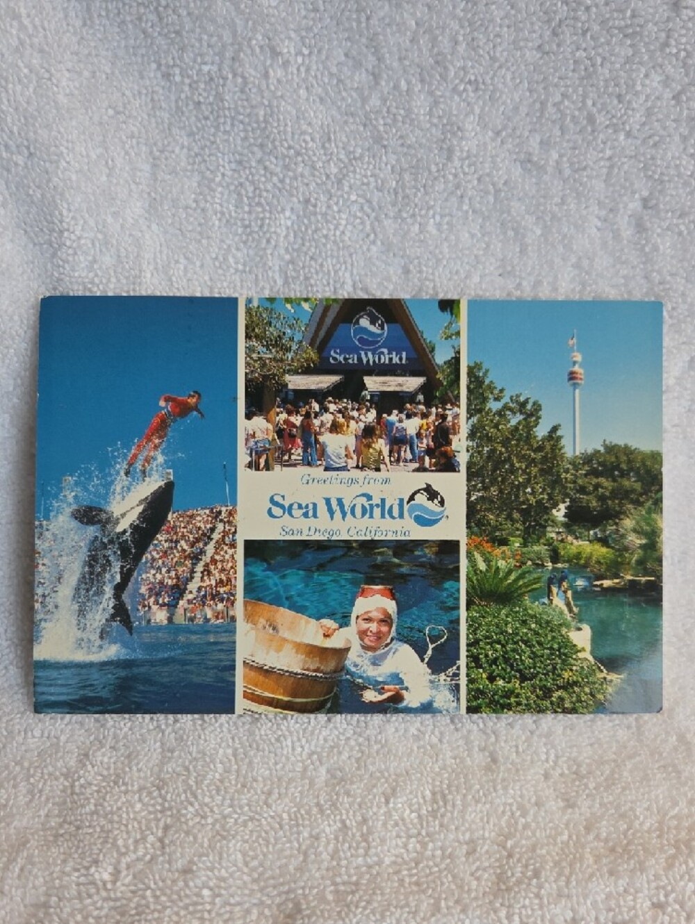 SeaWorld San Diego Vintage Collage Photo Print - Blue